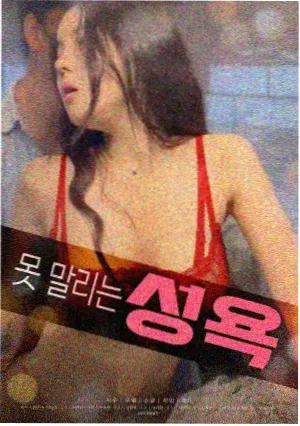 《看不见的客人》影片海报